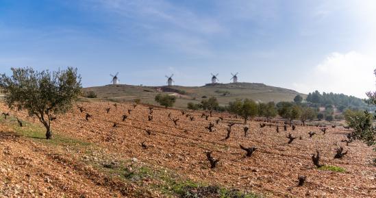 Castilla-La Mancha