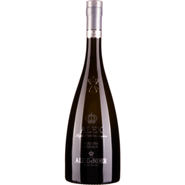 38° Grappa