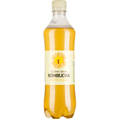 Kombucha Zitrone Ingwer