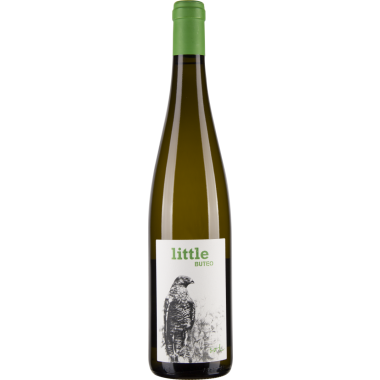 Grüner Veltliner Little Buteo bio 2018
