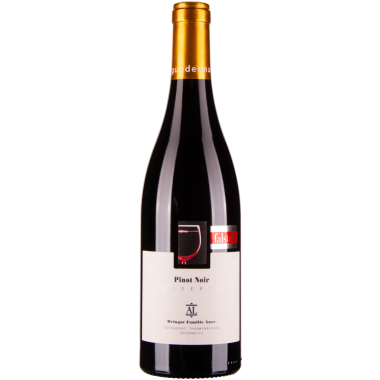 Pinot Noir Reserve Ried Holzspur bio 2016