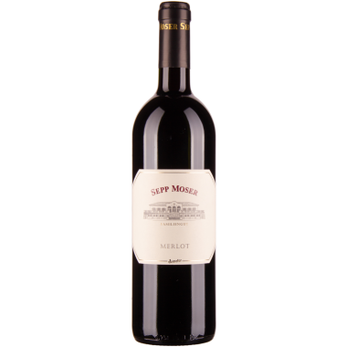 Merlot bio 2017