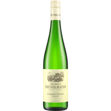 Riesling Terrassen Kamptal DAC bio 2019