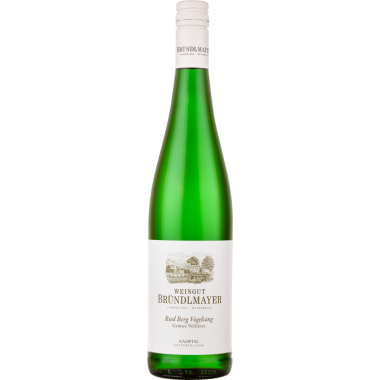 Grüner Veltliner Ried Berg Vogelsang Kamptal DAC bio 2019