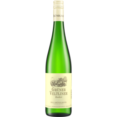 Grüner Veltliner Hauswein bio 2019
