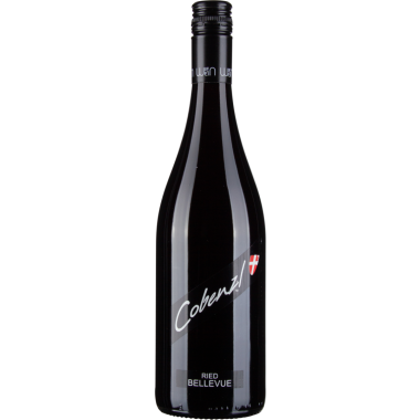 Pinot Noir Ried Bellevue 2019