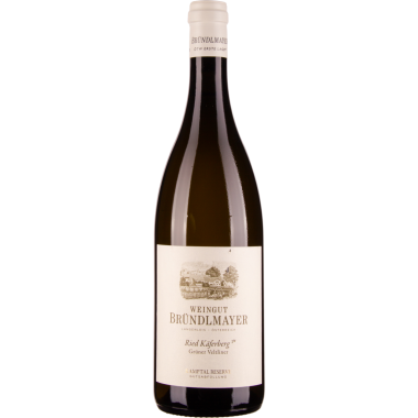 Grüner Veltliner Ried Käferberg 1ÖTW Kamptal DAC 2019