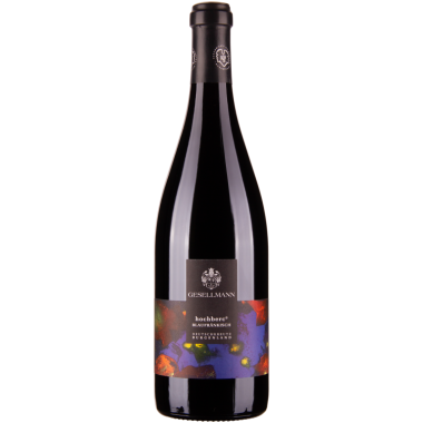 Blaufränkisch Hochberc bio 2018