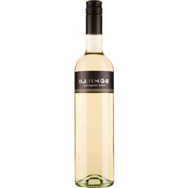 Sauvignon Blanc bio 2024
