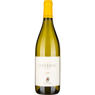 Sauvignon Blanc Cicinis Collio DOC 2019