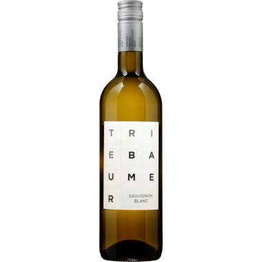 Sauvignon Blanc 2023