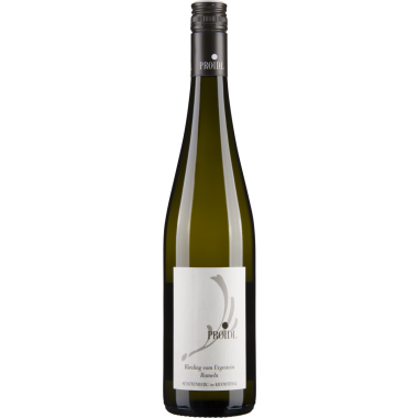 Riesling Ried Felsengarten 2016