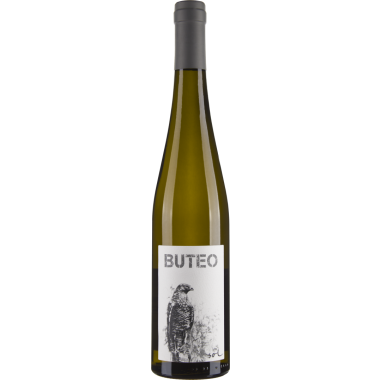 Grüner Veltliner Buteo bio 2017