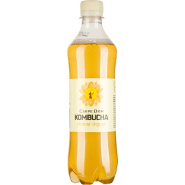 Kombucha Zitrone Ingwer