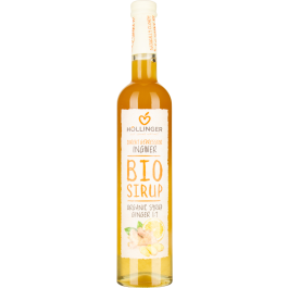 Ingwersirup bio
