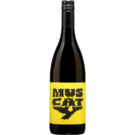Muscaris Muscy bio