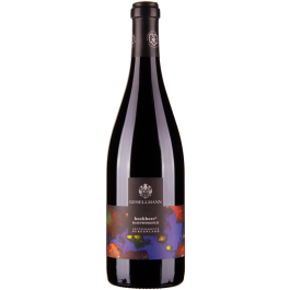 Rarität Blaufränkisch Hochberc 2013