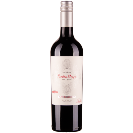 Malbec Mendoza Alta Coleccion 2018