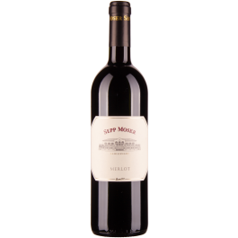 Merlot bio 2017