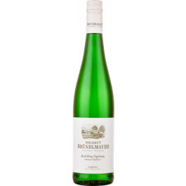 Grüner Veltliner Ried Berg Vogelsang Kamptal DAC bio 2019