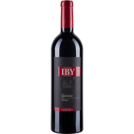 Blaufränkisch Quintus Mittelburgenland DAC Reserve bio 2017