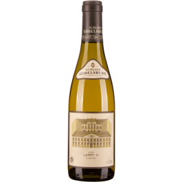 Grüner Veltliner Ried Lamm 1ÖTW Kamptal DAC 2019
