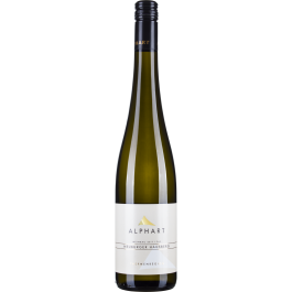 Neuburger Hausberg 2019