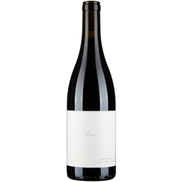Blaufränkisch Kalkstein bio 2020
