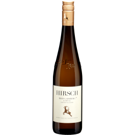 Grüner Veltliner Ried Gaisberg 1ÖTW Kamptal DAC bio 2022