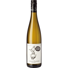 Grüner Veltliner Ried Reipersberg Weinviertel DAC bio 2024