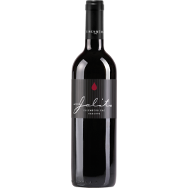 Rarität Blaufränkisch Ried Szapary Eisenberg DAC Reserve 2017