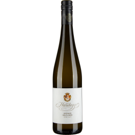 Grüner Veltliner vom Gut bio 2020