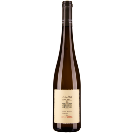 Grüner Veltliner Smaragd Ried Kellerberg Wachau DAC 2020