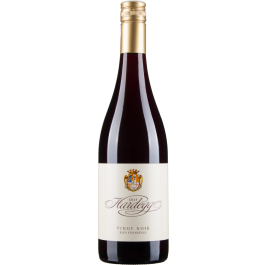 Pinot Noir Steinbügel bio 2023