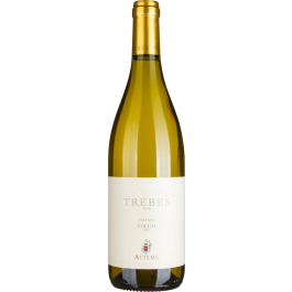 Trebes Ribolla Gialla Collio DOC 2020