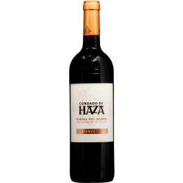 Ribera del Duero DO Crianza 2019