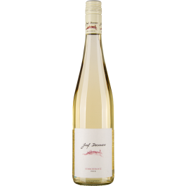 Pinot Noir 2022