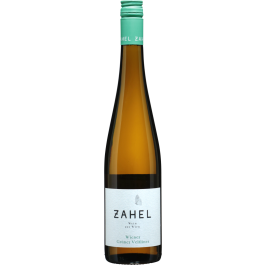 Grüner Veltliner Wiener bio 2024