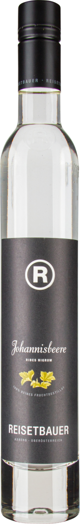 Schwarze Johannisbeere