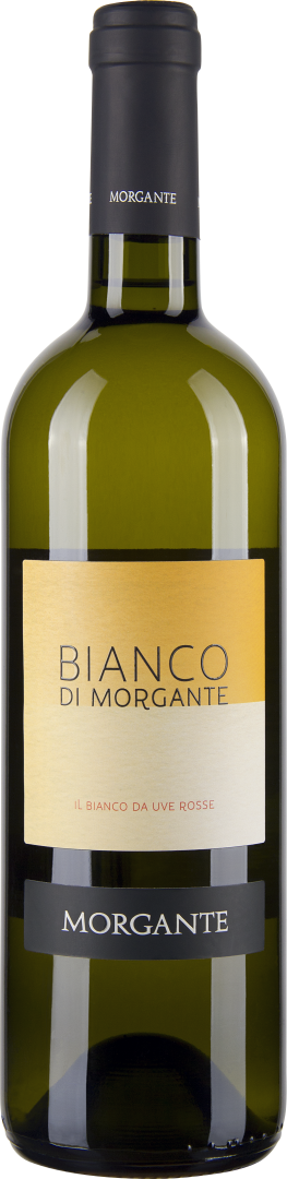 Bianco di Morgante 2017