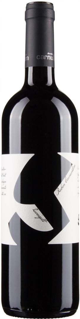 Rubin Carnuntum 2016