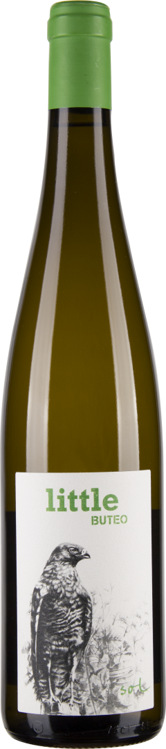 Grüner Veltliner Little Buteo bio 2018
