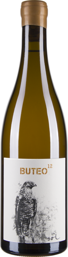 Grüner Veltliner Buteo12 bio 2016