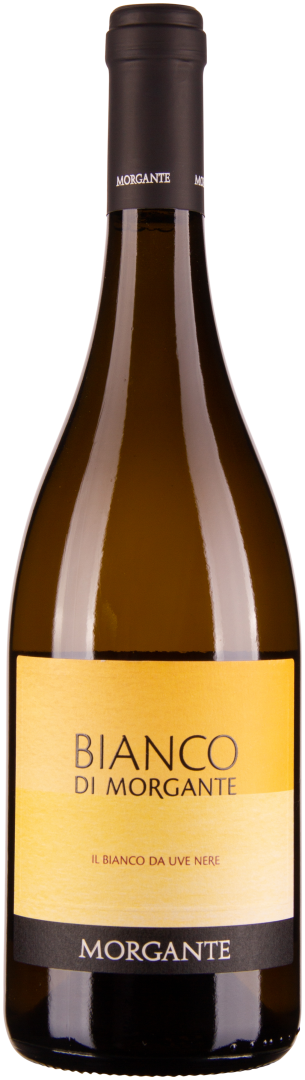 Bianco di Morgante 2018