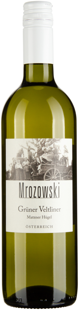 Grüner Veltliner Matzner Hügel bio 2018