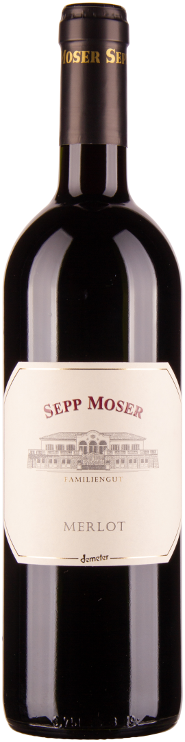 Merlot bio 2017
