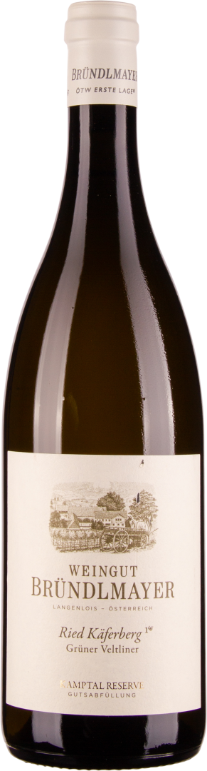 Grüner Veltliner Ried Käferberg 1ÖTW Kamptal DAC 2018