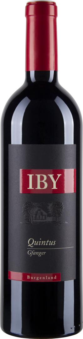 Blaufränkisch Quintus Mittelburgenland DAC Reserve bio 2017