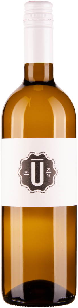 Ulrich Grüner Veltliner Ried in Bergen bio 2024