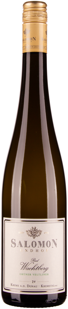 Grüner Veltliner Ried Wachtberg 1ÖTW Kremstal DAC 2023